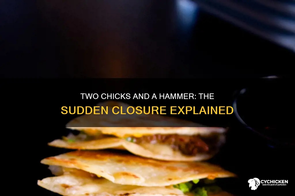 why did two chicks and a hammer close