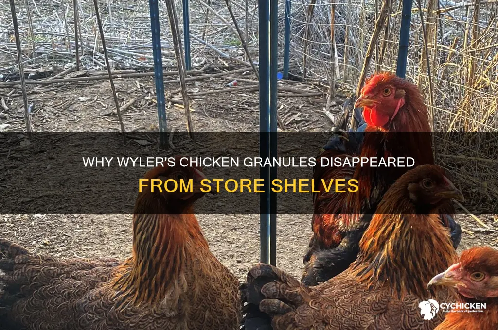 why did wyler