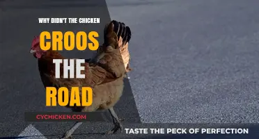 Why Chickens Stay Put: Unraveling the Road-Crossing Mystery