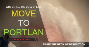 Unraveling Portland's Ugly-Chick Magnetism