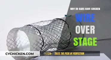 Why Bars Use Chicken Wire Over Stages: Safety and History Explained