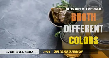 Unveiling the Color Mysteries: Beef vs. Chicken Broth Explained