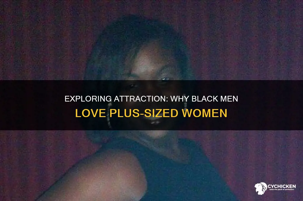 why do black guys like fat chicks