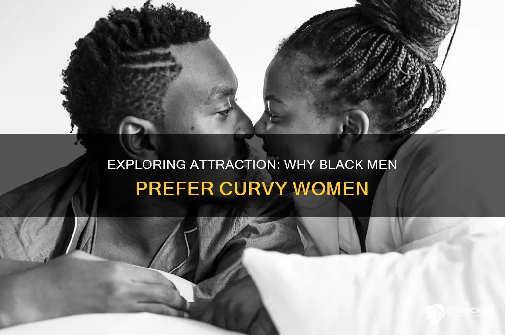 why do black guys like thick chicks