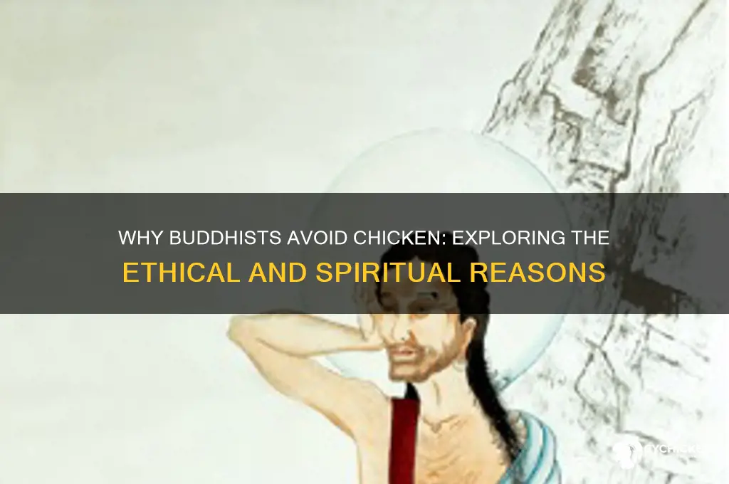 why do buddhists not like chicken