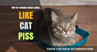 Unraveling the Mystery: Why Chicken Bones Emit a Cat Urine Odor