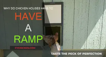Chicken Coops Need Ramps: Easy Access for Poultry