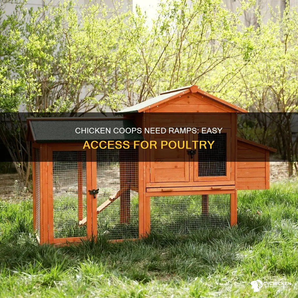 why do chicken houses have to have a ramp
