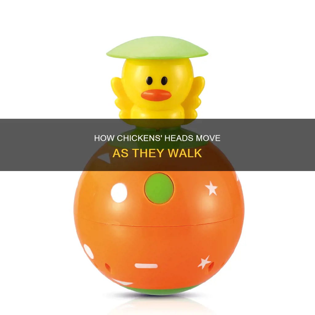 why do chicken move their head when they walk
