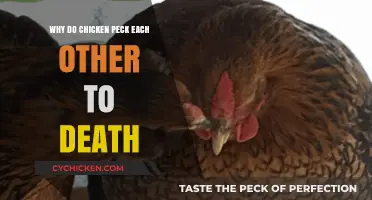 Deadly Pecking Behavior: Understanding Why Chickens Attack Each Other