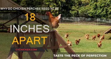 Chicken Perch Spacing: Why 18 Inches Apart?