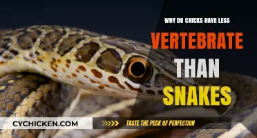 Chicks vs. Snakes: Unraveling the Mystery of Vertebrate Differences