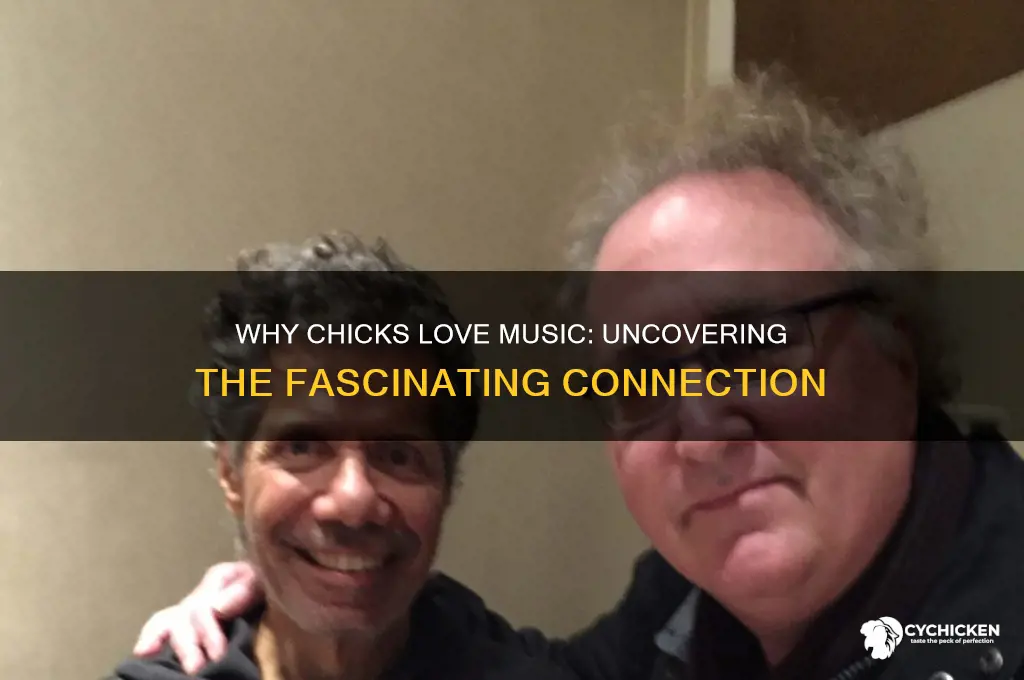 why do chicks like music