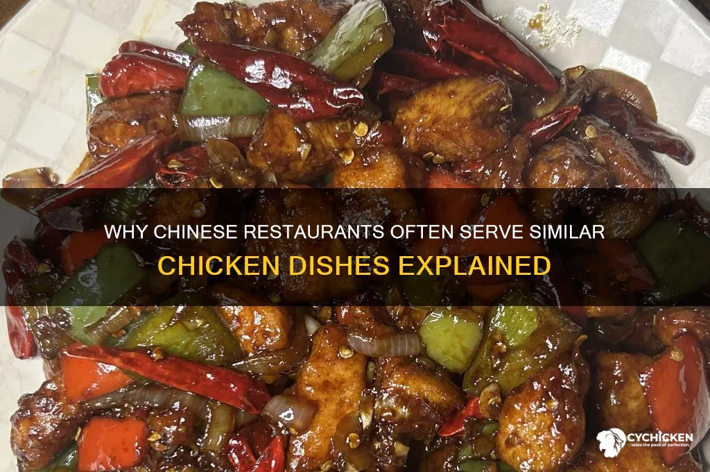 why do chinese restaurants have the same chicken