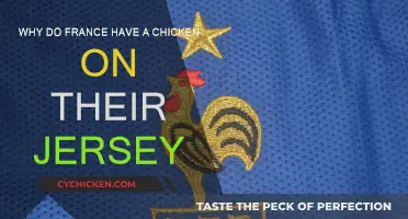 The Rooster: France's Jersey Symbolism