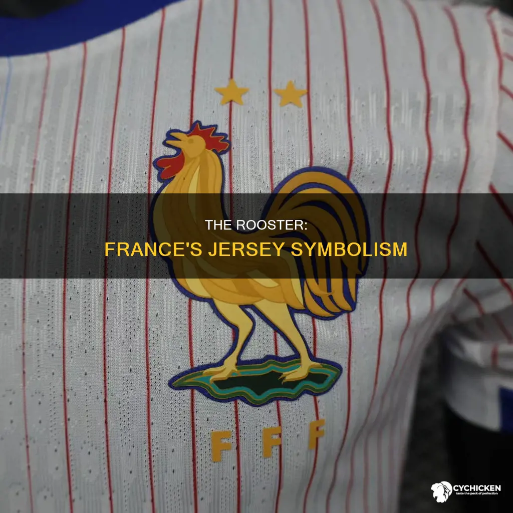why do france have a chicken on their jersey