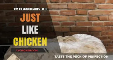 Why Gardein Strips Perfectly Mimic Chicken's Flavor and Texture
