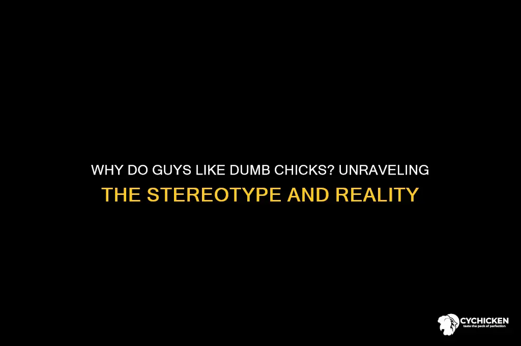 why do guys like dumb chicks