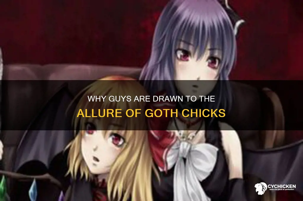 why do guys like goth chicks