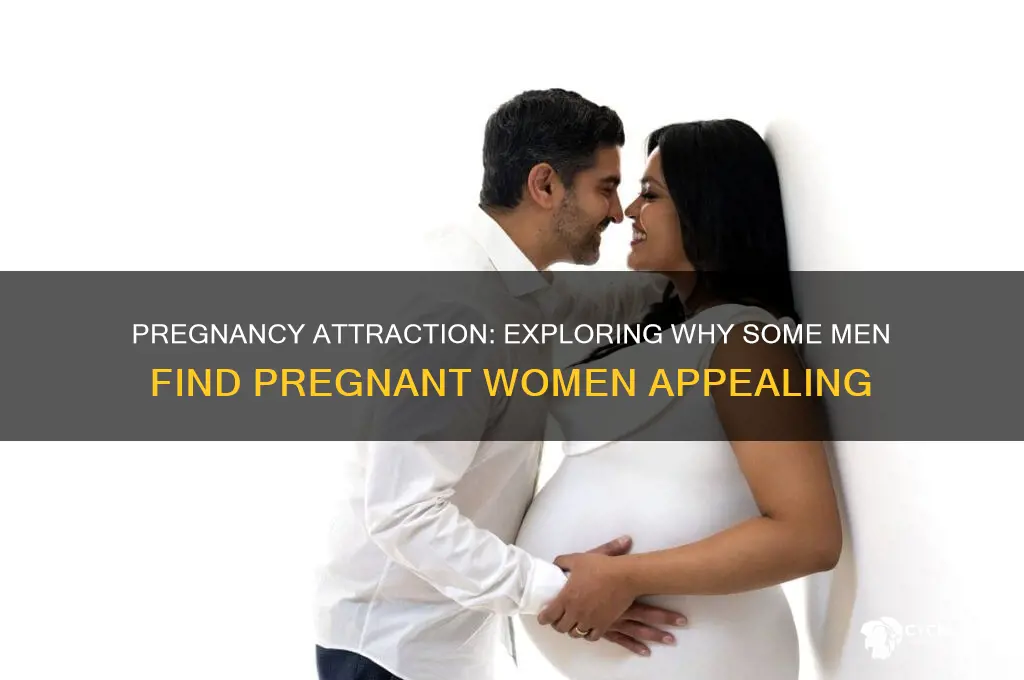 why do guys like pregnant chicks