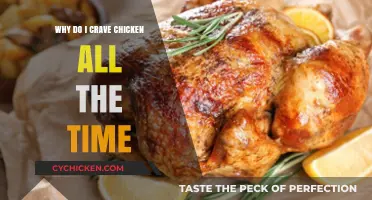 Why Chicken Cravings Dominate My Diet: Unraveling the Obsession