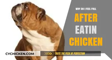 Why Chicken Leaves You Feeling Full: Exploring the Science Behind Satiety