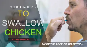 Difficulty Swallowing Chicken: Why It Happens and How to Cope