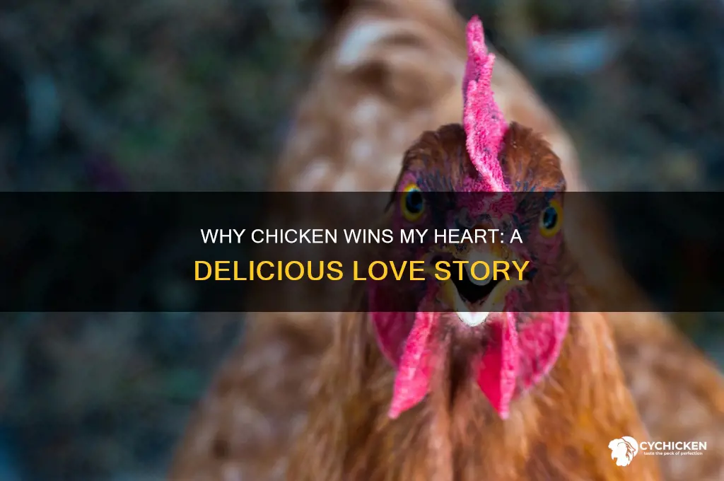 why do i like chicken