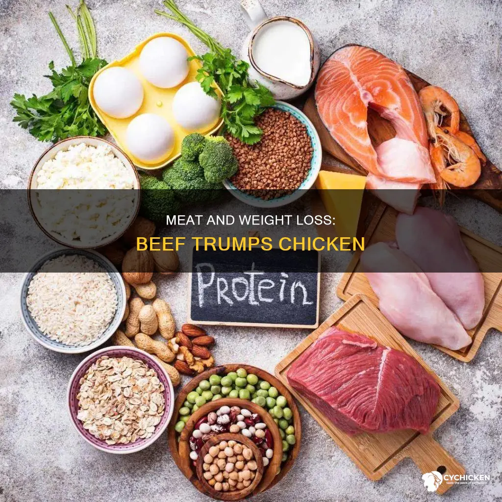why do i lose more weight with beef vs chicken