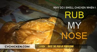 Chicken Smell Mystery: Nose Rubbing and Olfactory Confusion