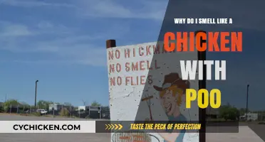 Unraveling the Mystery: Why Do I Smell Like Chicken and Poop?