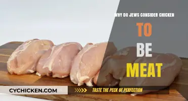 Why Jews Classify Chicken as Meat: Exploring Kashrut Traditions
