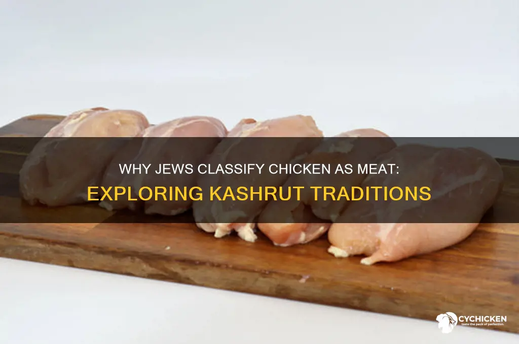 why do jews consider chicken to be meat