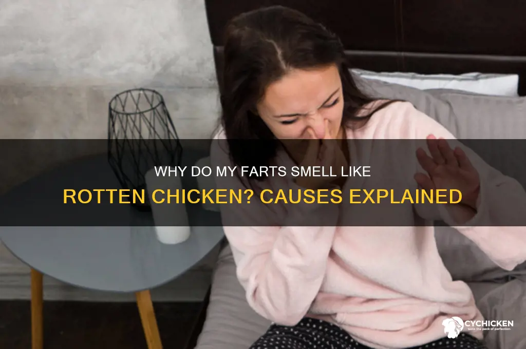 why do my farts smell like rotten chicken