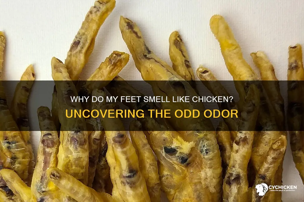 why do my feet smell like chicken