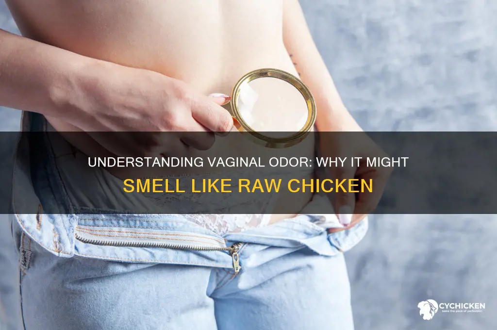 why do my vagina smell like raw chicken