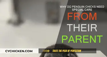 Penguin Parenting: Nurturing the Next Generation