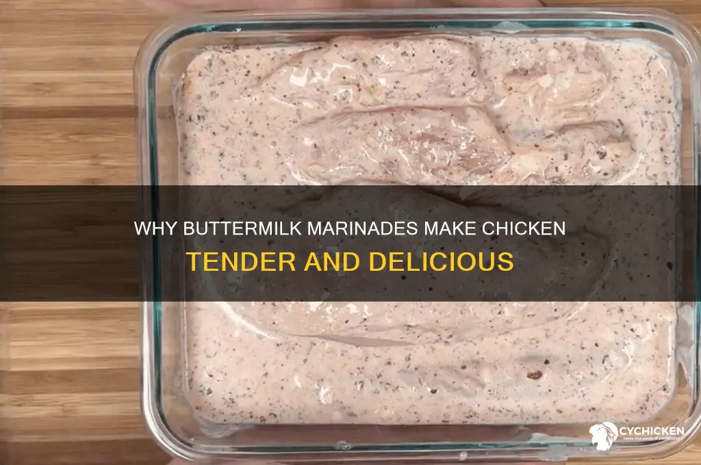 why do people bathe their chicken in buttermilk