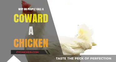 Why 'Chicken' Became the Go-To Insult for Cowards