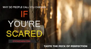 The Story Behind “Chicken” and Fear