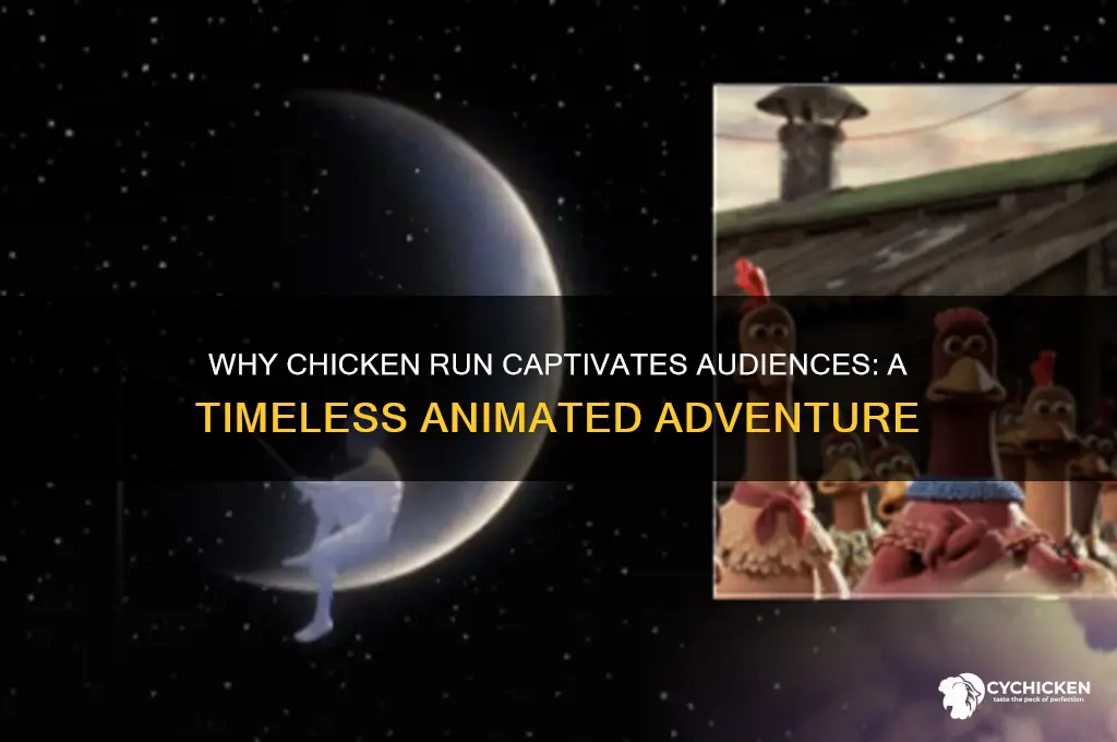 why do people like chicken run