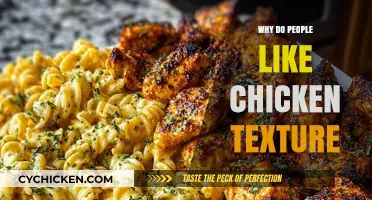 The Irresistible Appeal of Chicken Texture: A Culinary Exploration