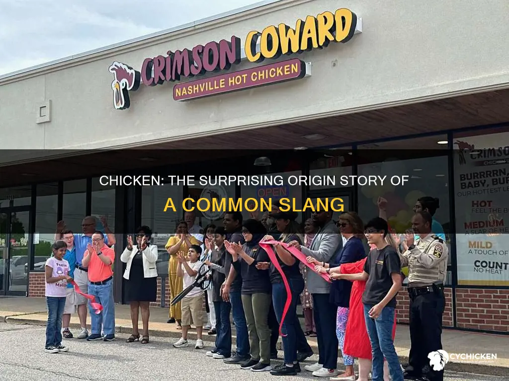 why do people say chicken as a term for coward