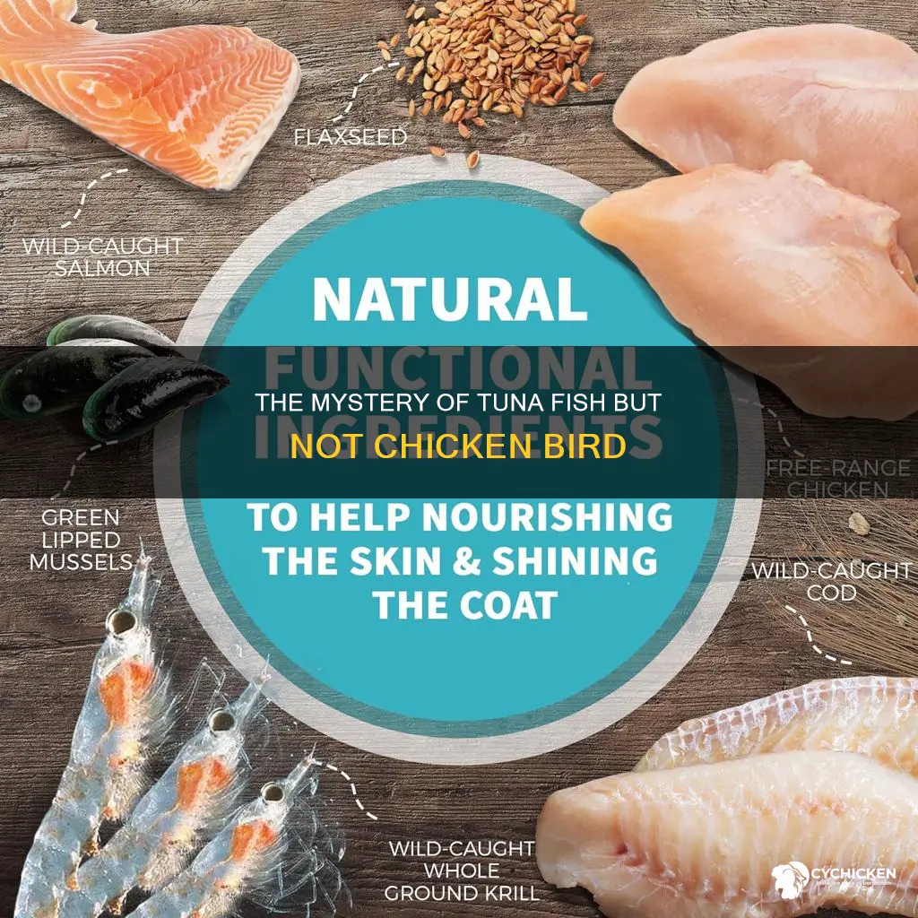 why do people say tuna fish but not chicken bird
