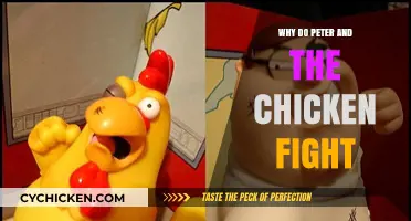 Peter and the Chicken's Feud: Unraveling the Unexpected Battle