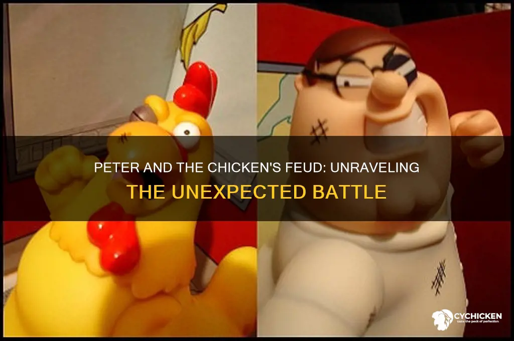 why do peter and the chicken fight