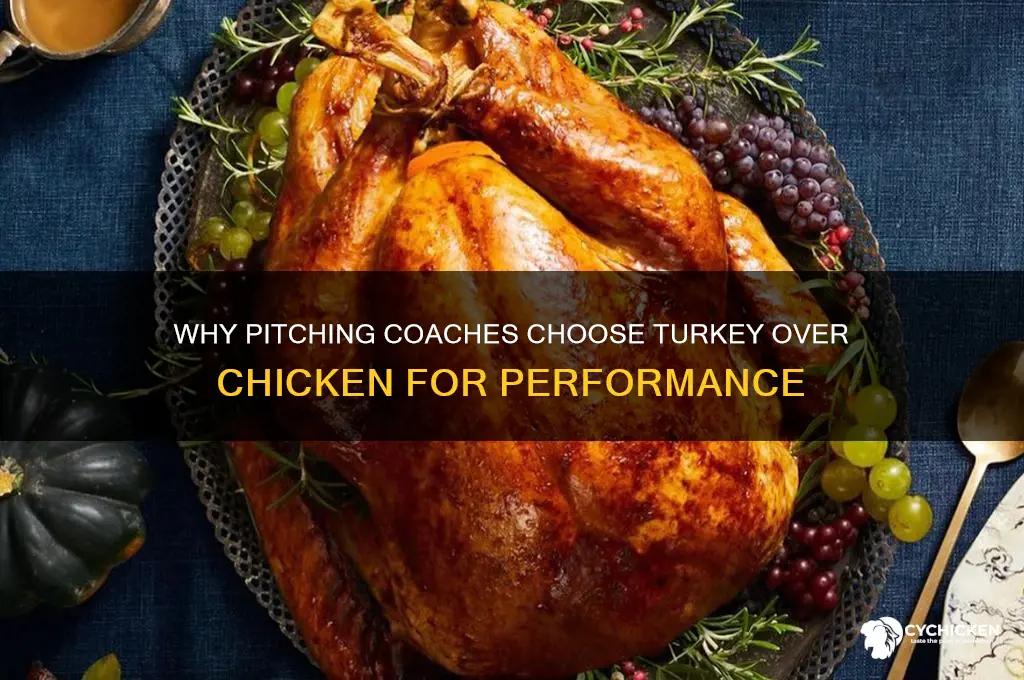 why do pitching coaches prefer turkey over chicken
