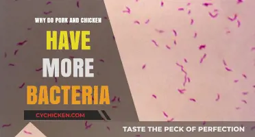 Why Pork and Chicken Harbor More Bacteria Than Other Meats