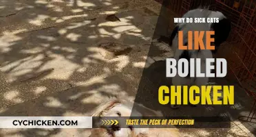 Why Sick Cats Crave Boiled Chicken: A Nutritional Insight