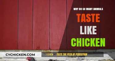 Why Do So Many Animals Taste Like Chicken? Exploring the Science